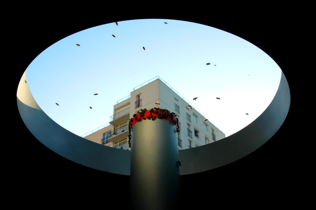 A HONEY BANK TO SAVE THE BEES