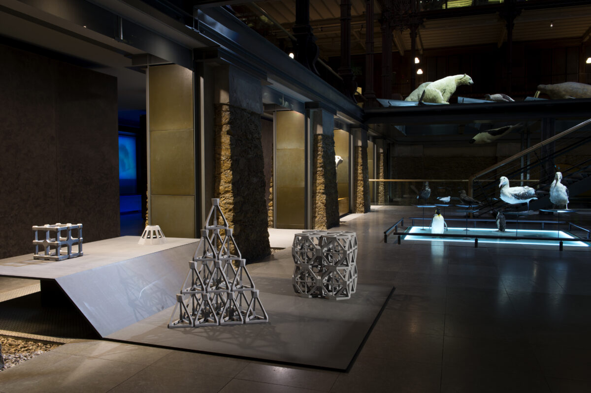 Nicolas Floc’h et Etienne de France, FIAC Hors-les-Murs au MNHN