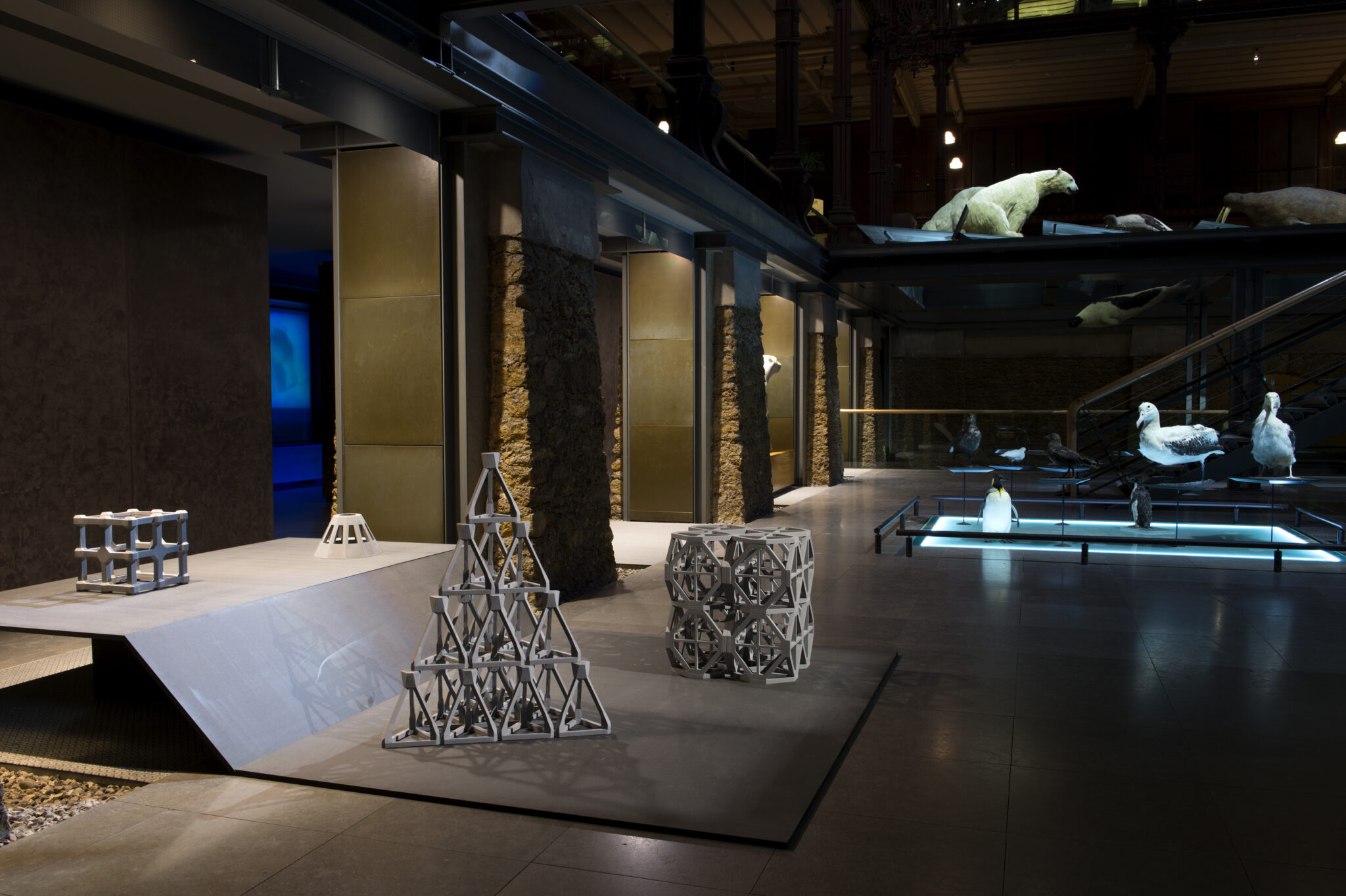 Nicolas Floc’h and Etienne de France, FIAC Hors-les-Murs at MNHN