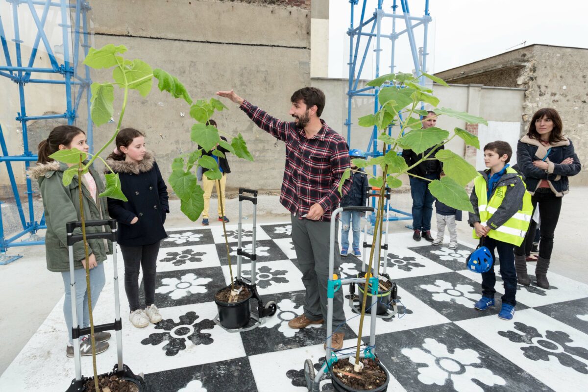 The Anthropocene, trees and humans