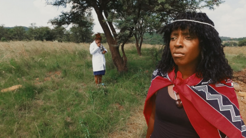 COAL partenaire du programme « Seeds and Soils » au CCS