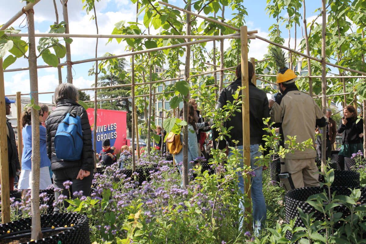 Third Appel d’air adoption party: A day with the trees!