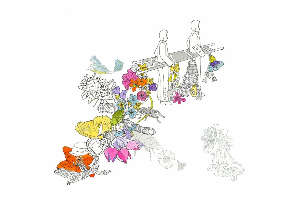 Prix COAL 2020 : une édition sur le vivant