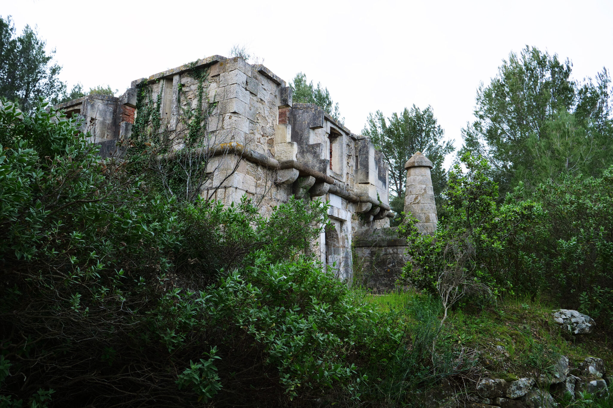 PRIX COAL 2020 : RENCONTRE AVEC VICTOR REMÈRE