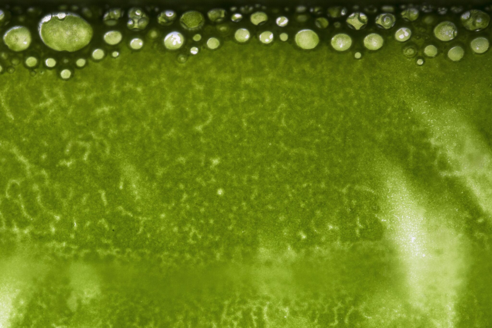 PRIX COAL 2020 : RENCONTRE AVEC LIA GIRAUD