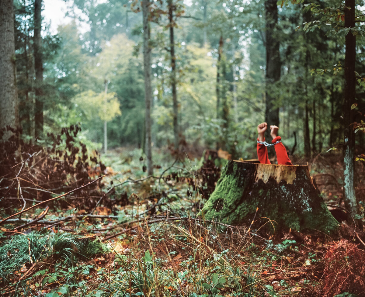 Prix COAL 2021 : Une édition sur la forêt