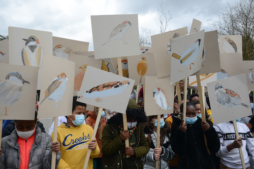 VIVANT in Marseille, a cultural season for the IUCN World Conservation Congress