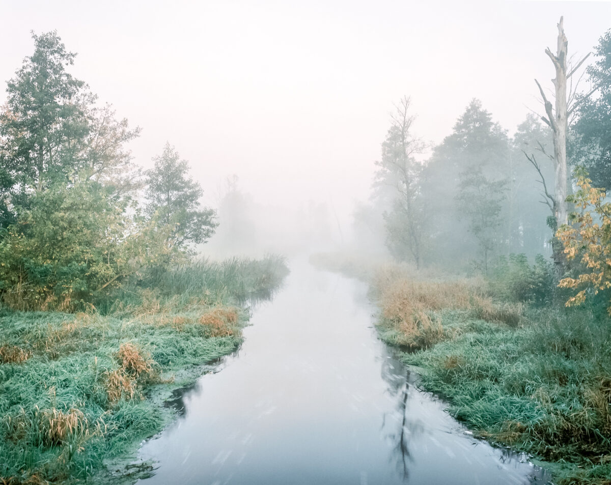 PRIX ÉTUDIANT 2021 : UNE ÉDITION SUR LA FORÊT