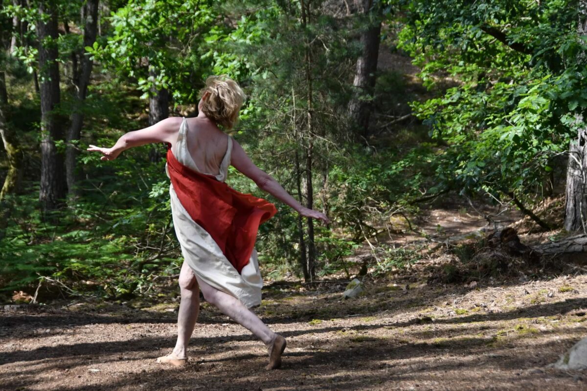 LES NUITS DES FORÊT À FONTAINEBLEAU – 9-11 Juin