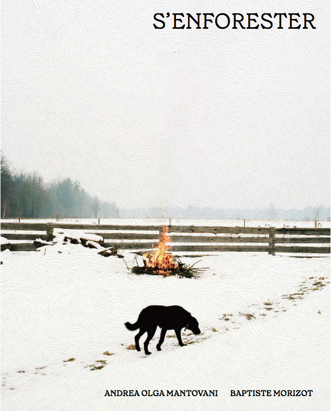 ©Andre Olga Mantovani