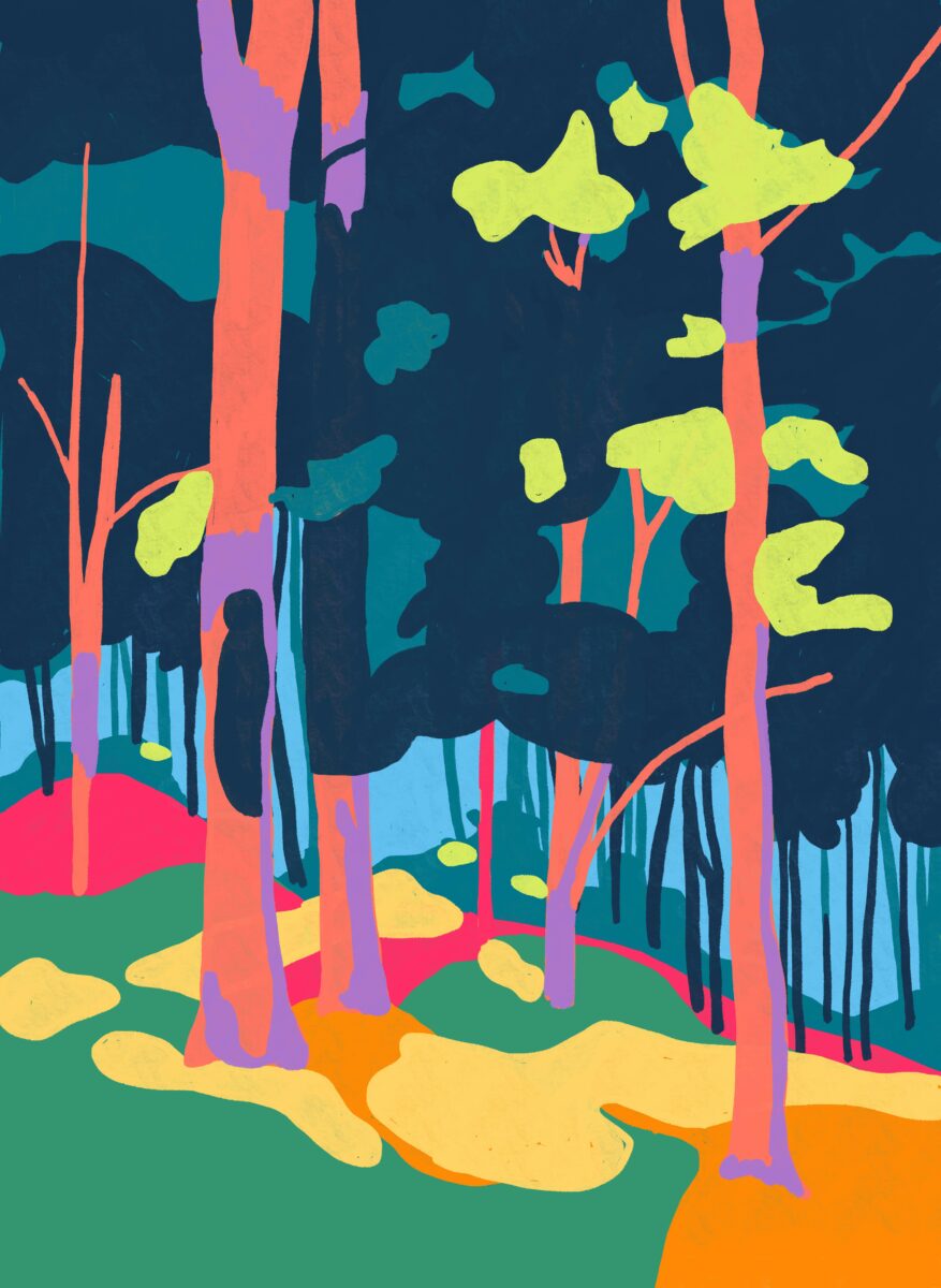FOREST NIGHTS 2023