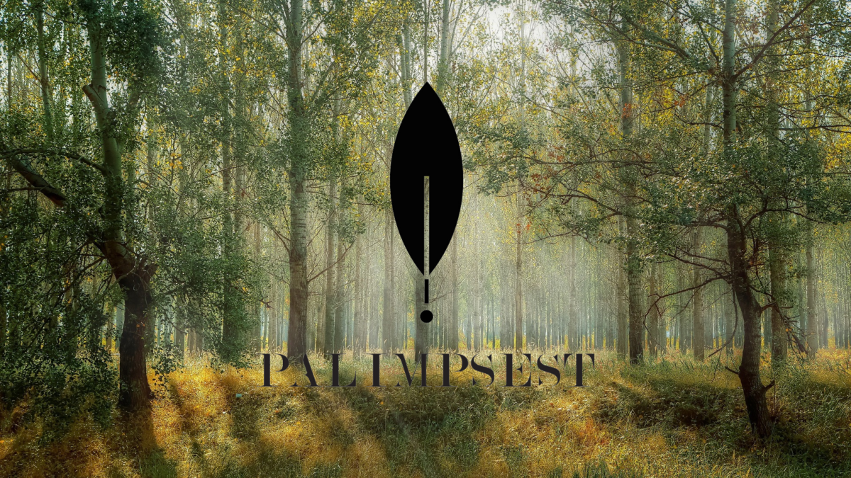 PALIMPSEST, DIALOGUES CRÉATIFS – Appel à projets