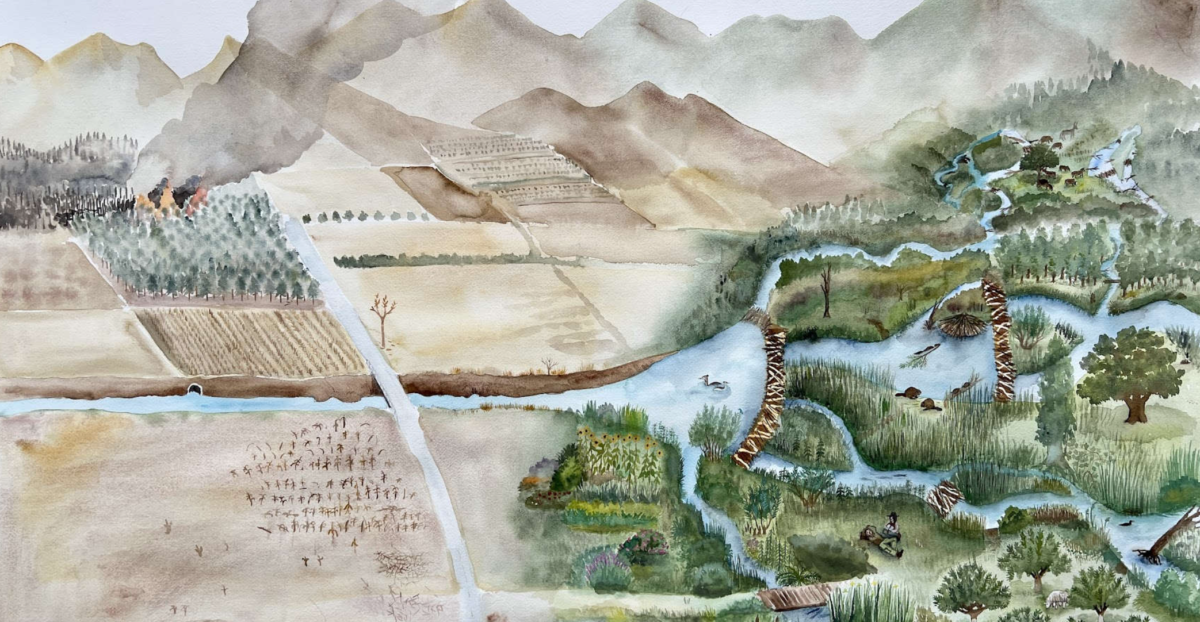 À venir : Suzanne Husky au Drawing Lab