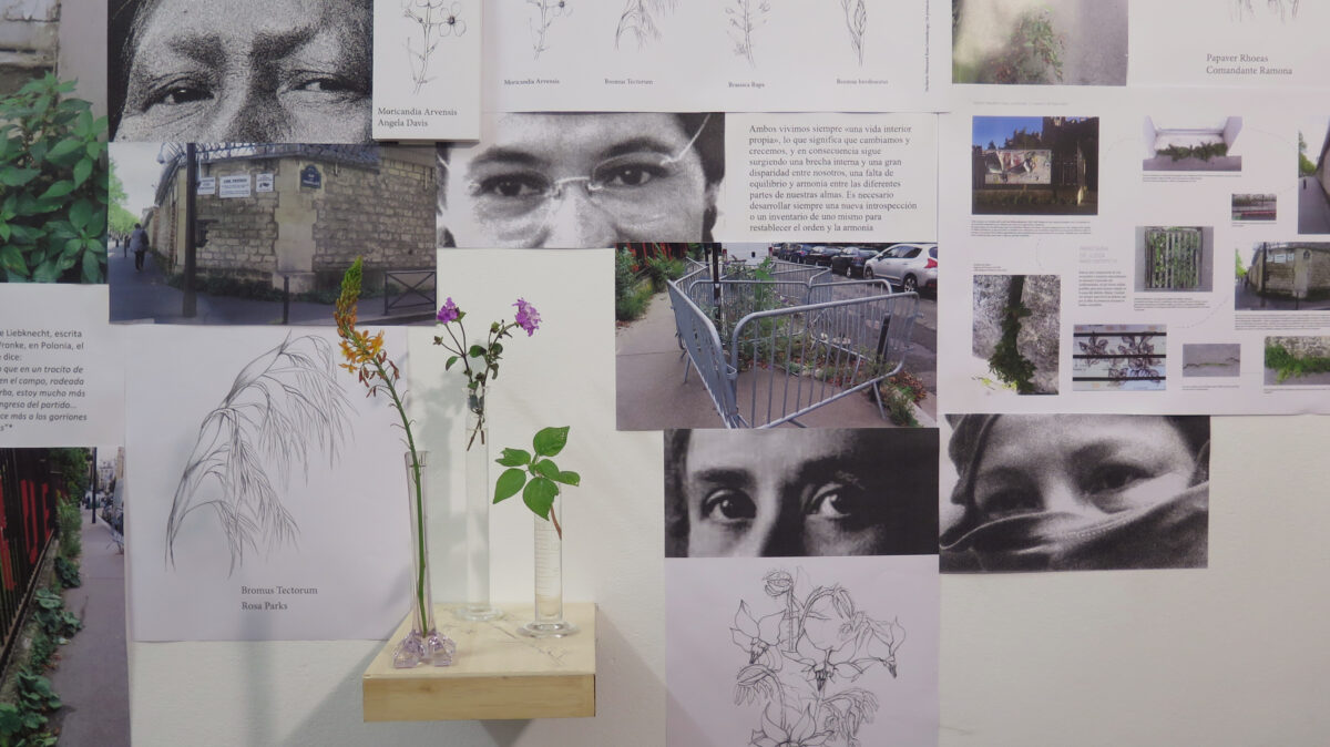 Exposition COALITION – programmation associée