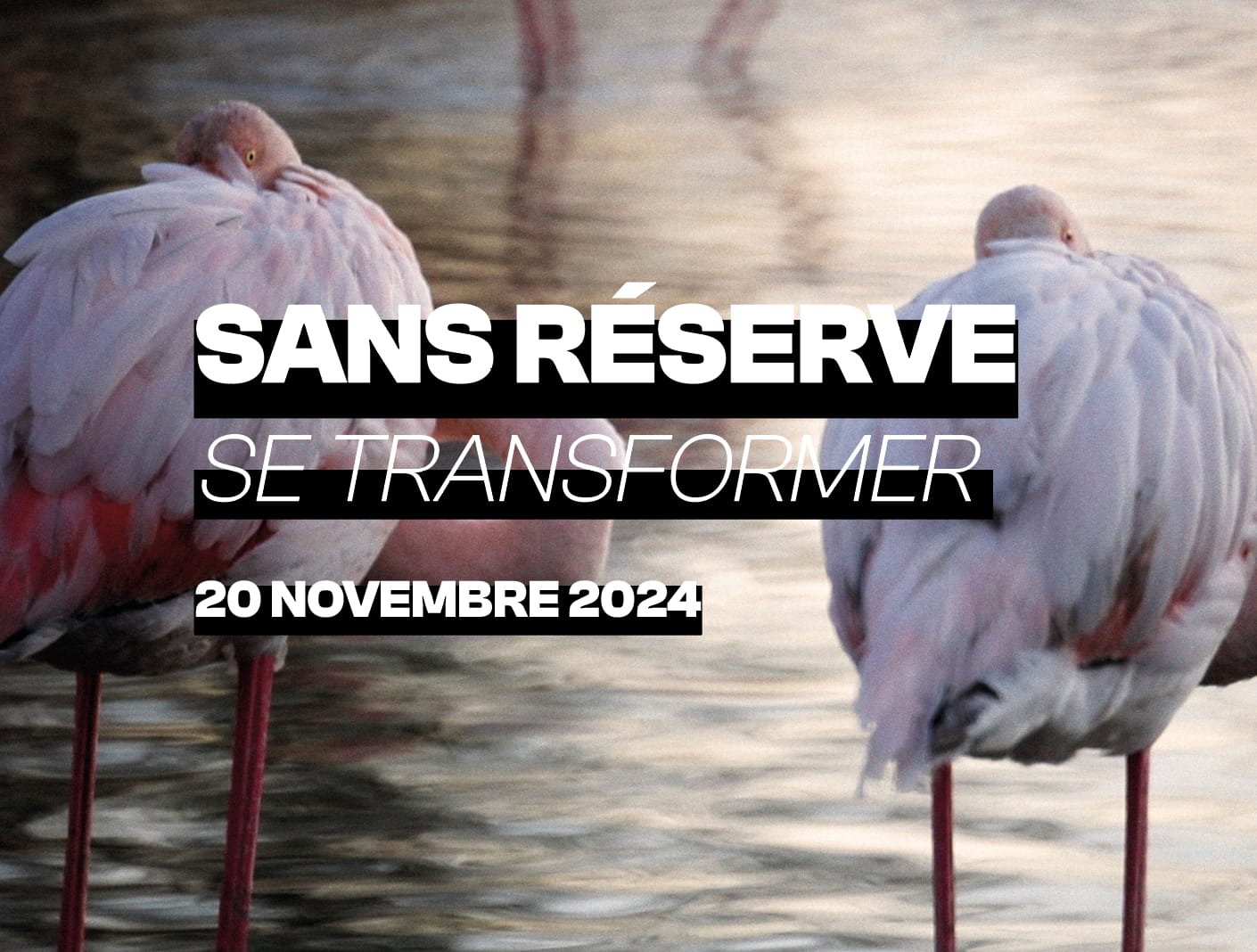 SANS RÉSERVE – 2024