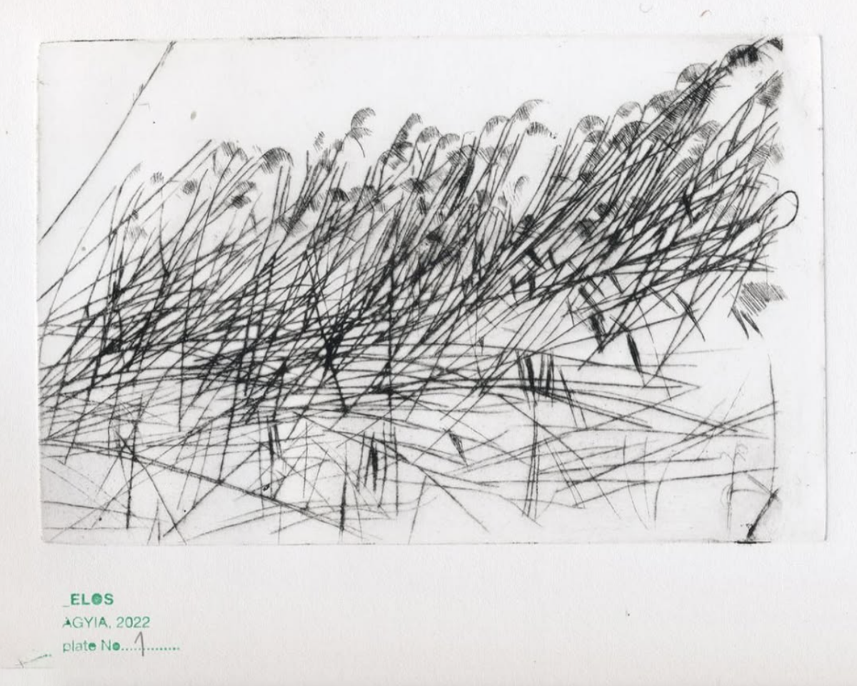 Yiannis Papadopoulos