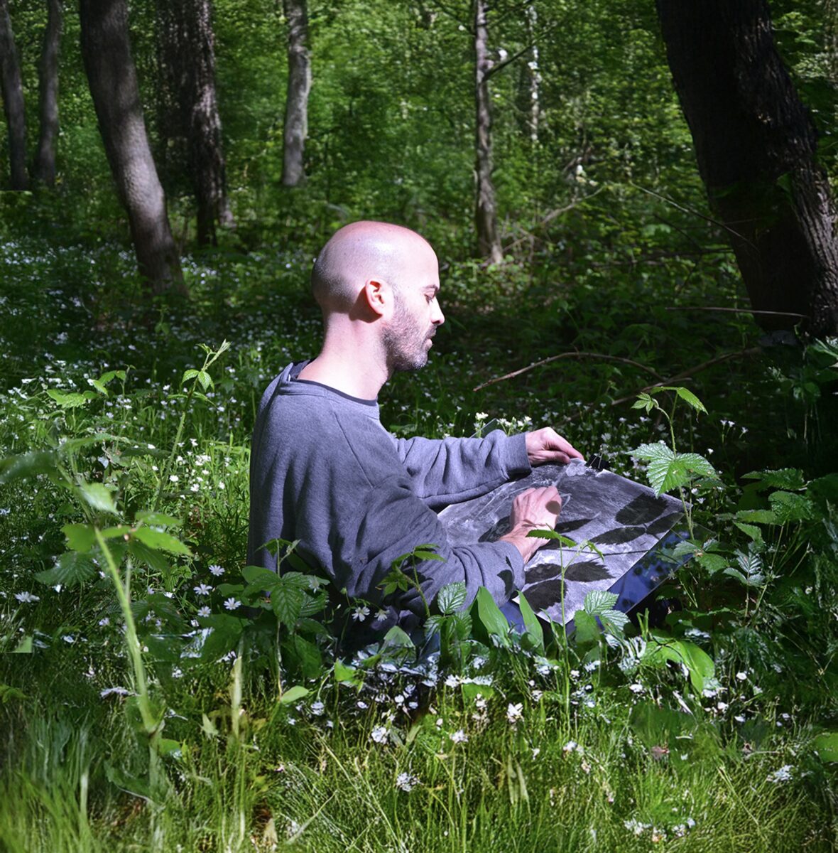 Forest Nights at the Château de Fontainebleau