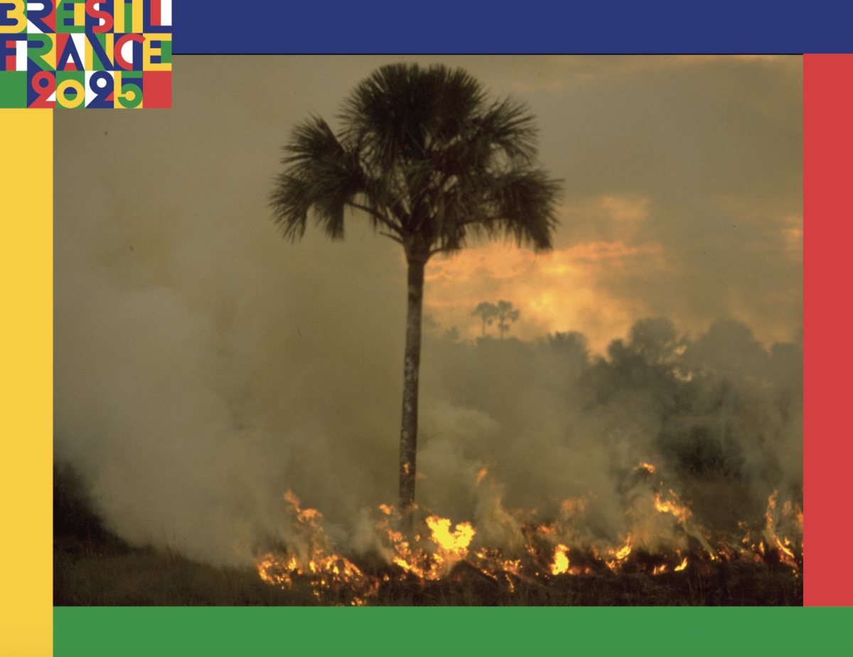 The Cry FOR THE PLANET, Tribute to Frans Krajcberg and Sebastião Salgado
