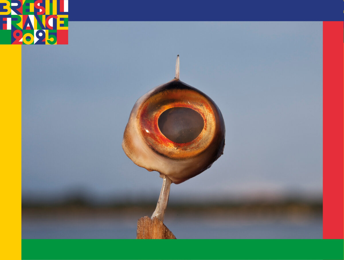 Exposition « COEXISTENCIA »