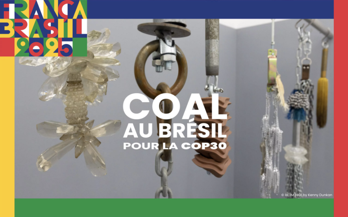 COAL au Brésil : deux initiatives pour la valorisation des écosystèmes amazoniens et planétaires