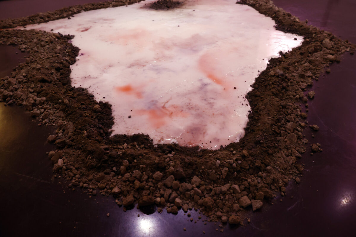 SANS RÉSERVE – EXPOSITION EAU DOUCE