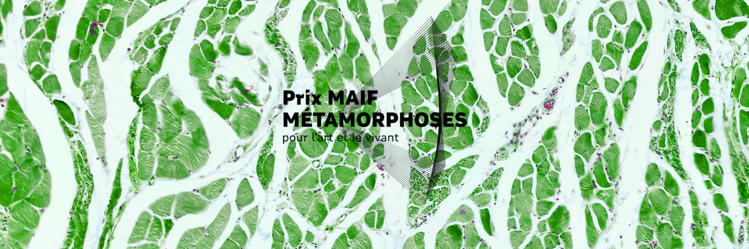 PRIX MAIF MÉTAMORPHOSES
