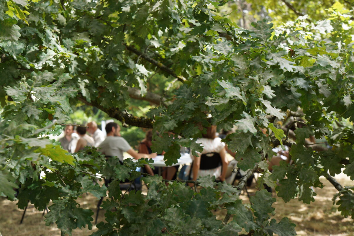 La Régénérative Académie